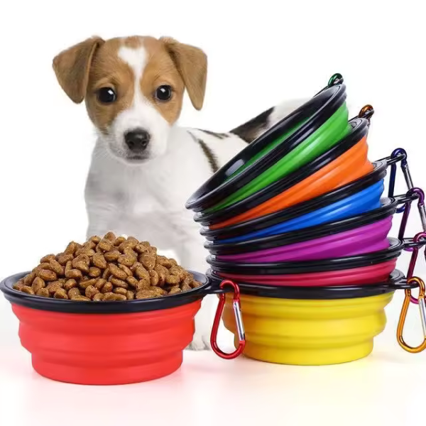 collapsible food bowl