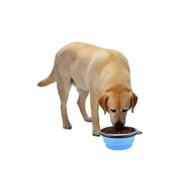 Dog and Cat Collapsible Bowl TA100 Collapsible Pet Bowl Width: 5" Height: 2" Material: TPE